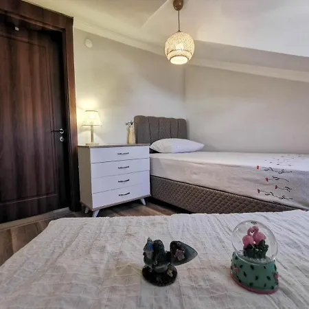 Center,4+1,terrace,sea-mountain View,2 Wc Datça